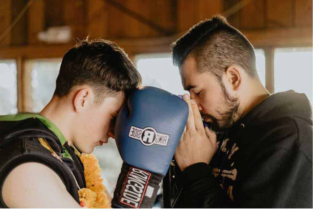 Punch mitts