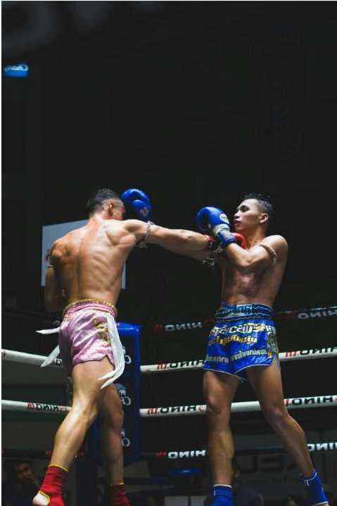 Elite V7 sparring gloves