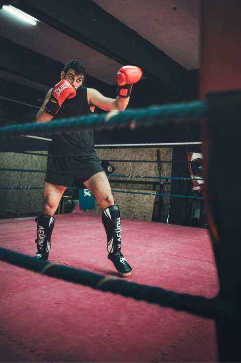 Home boxing bundle hero